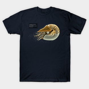 Chambered Nautilus T-Shirt